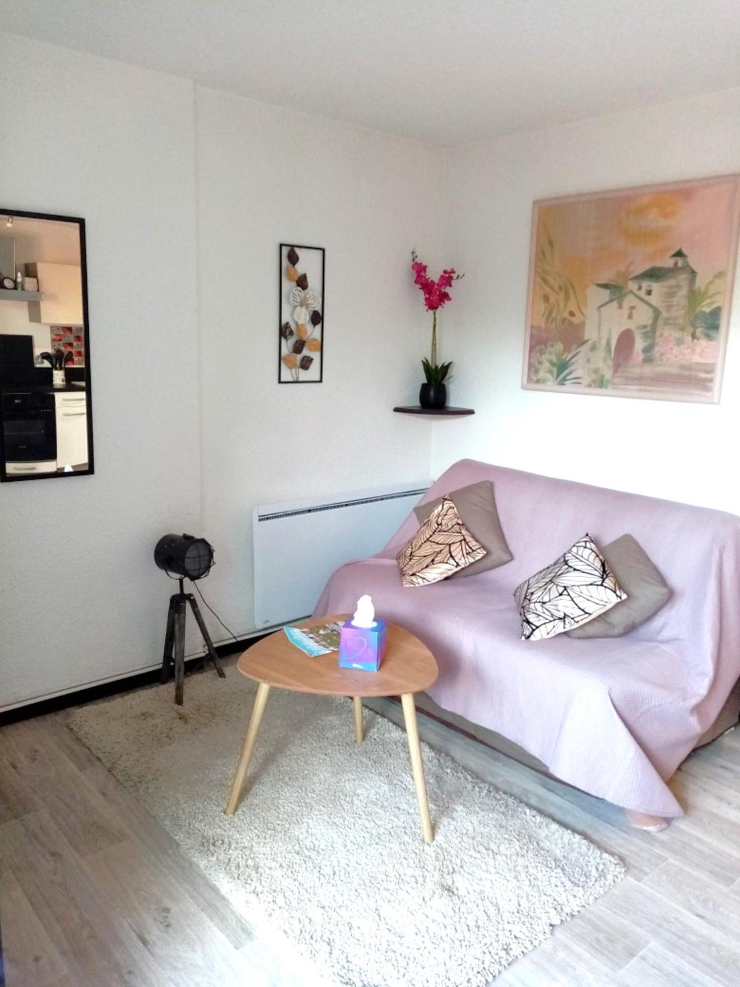 Cabourg Agreable T2 Residence Calme - Terrasse 20M2 - Animaux Bienvenus Eksteriør bilde